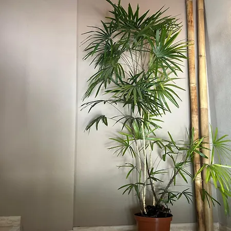 Premium Sea Front Appartement *