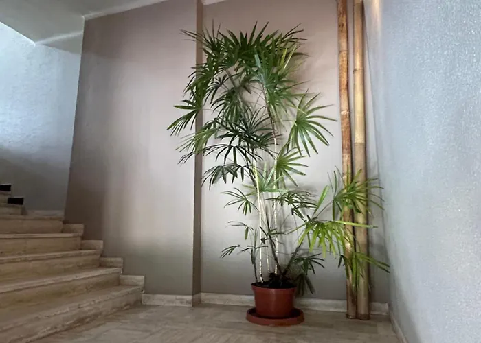 Lägenhet Premium Sea Front Le Lavandou